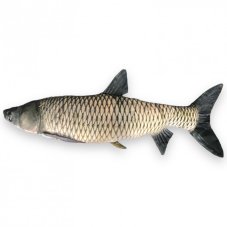 Vankúš Amur 95cm