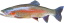 Vankúš Pstruh Dúhový (52cm)