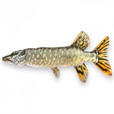 Vankúš Šťuka 80cm