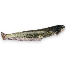 Vankúš Sumec 220cm