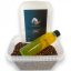 Premium Pellet Mix SET FLUO 500g + 200ml - Príchuť: PINEAPPLE